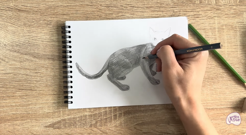 Рисуем Бомбейская кошка