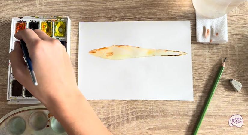 Рисуем Конгрио