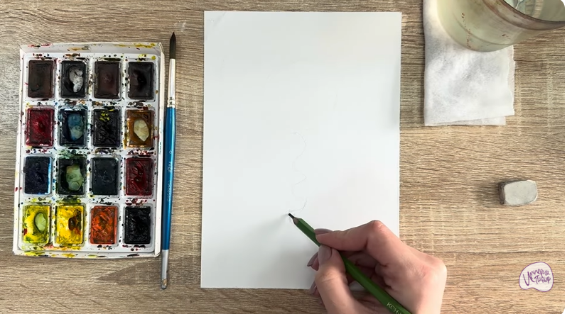 Рисуем Мирт обыкновенный