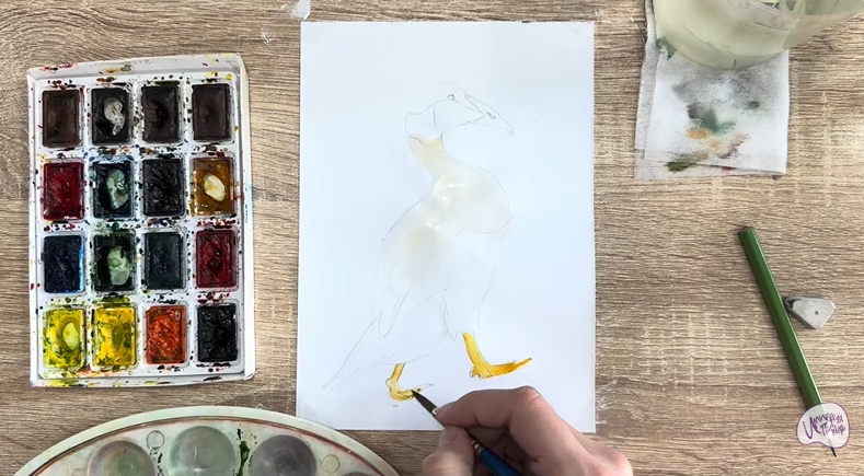 Рисуем Обыкновенная гага