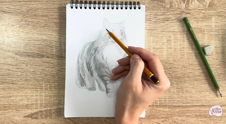 Рисуем Норвежский лесной кот