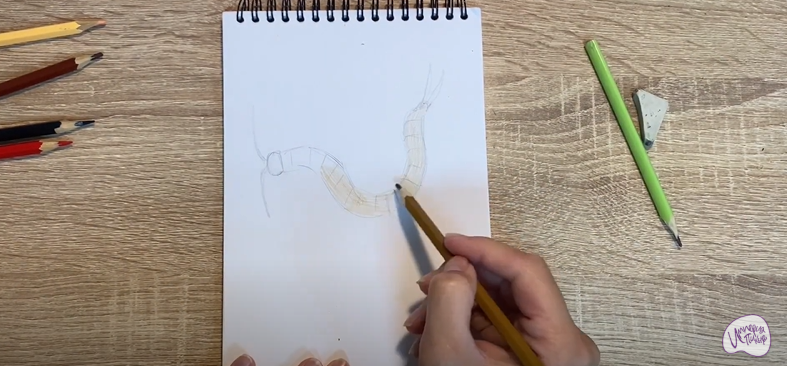 Рисуем Сколопендра