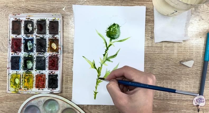 Рисуем Бодяк