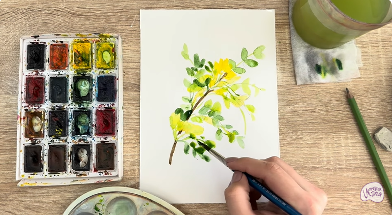 Рисуем Ветка караганы