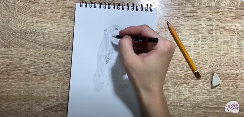 Рисуем Суслик