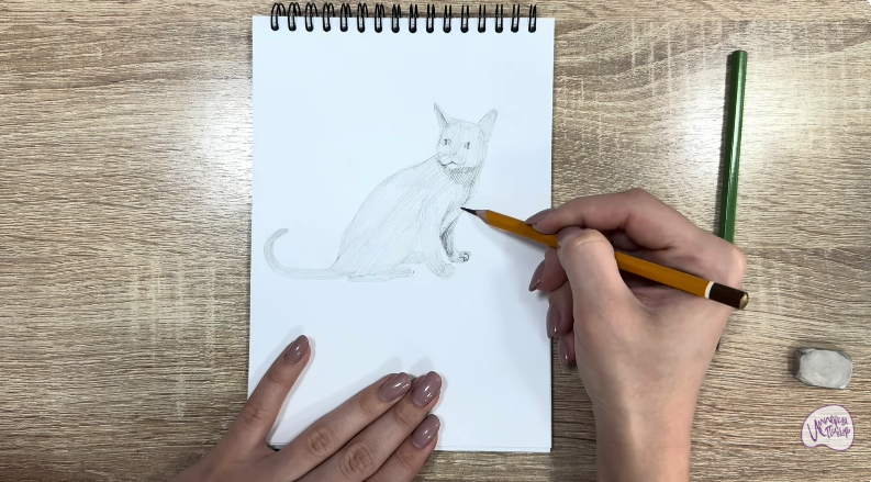 Рисуем Кот породы "Корат"