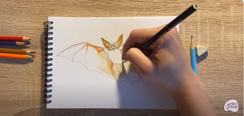 Рисуем Летучая мышь