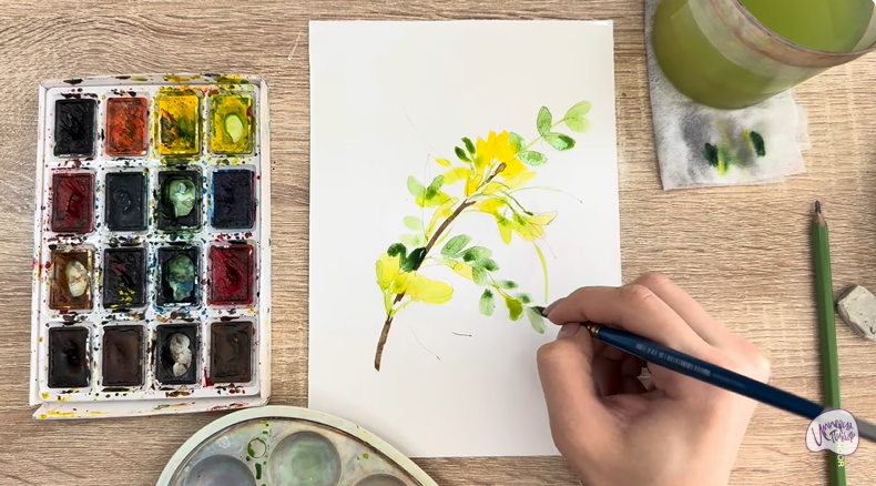 Рисуем Ветка караганы