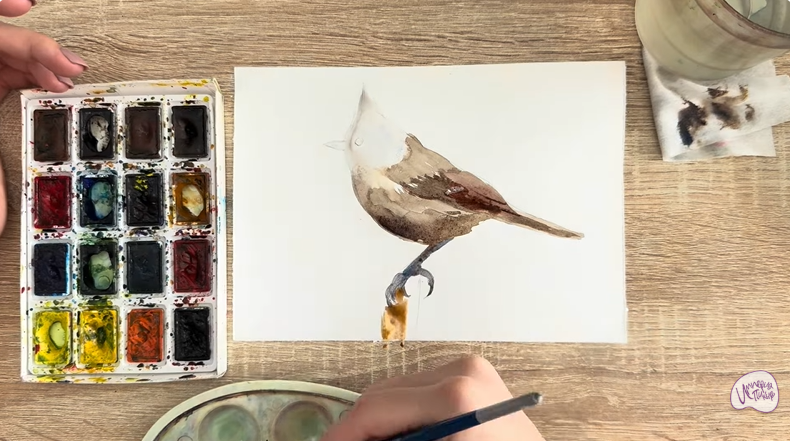 Рисуем Хохлатая синица