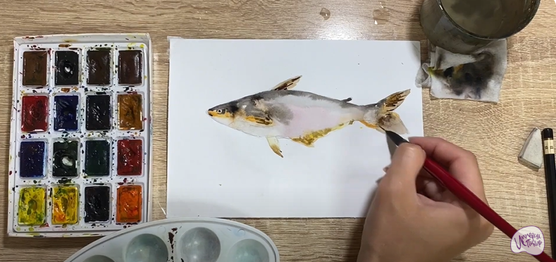 Рисуем Пангасиус