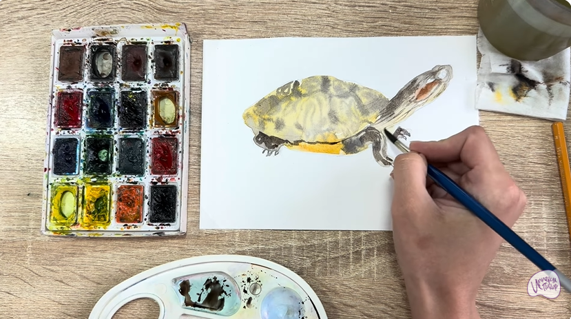 Рисуем Красноухая черепаха