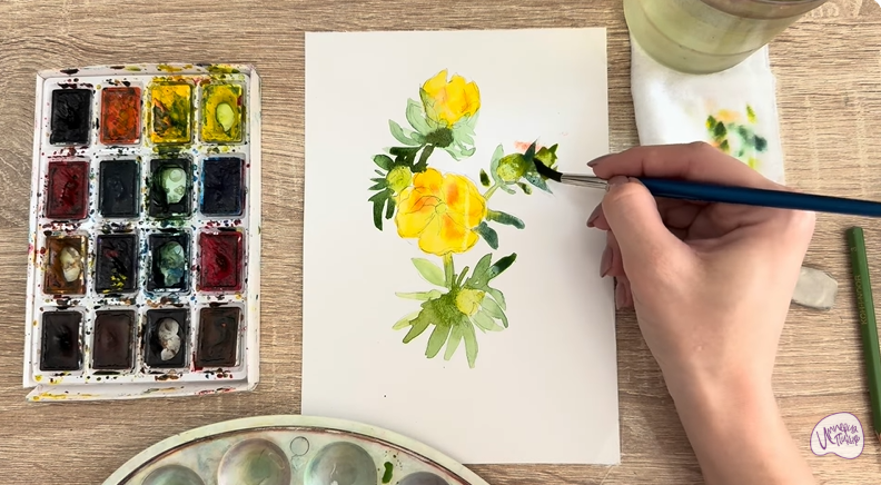 Рисуем Лапчатка