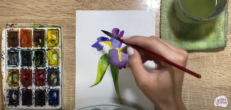 Рисуем Ирис
