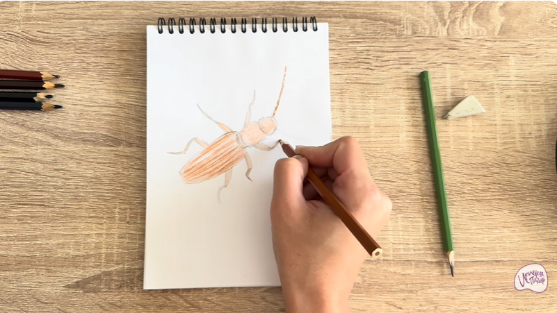 Рисуем Мукоед