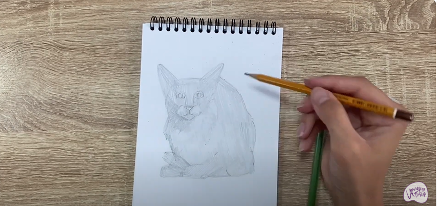 Рисуем Балинезийская кошка