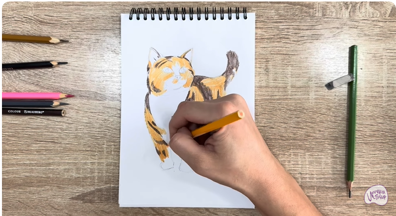 Рисуем Кошка породы "Манчкин"