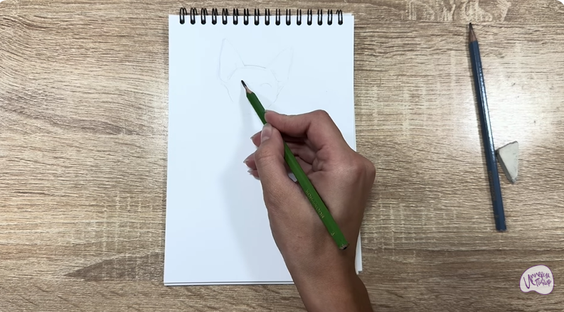 Рисуем Девон Рекс