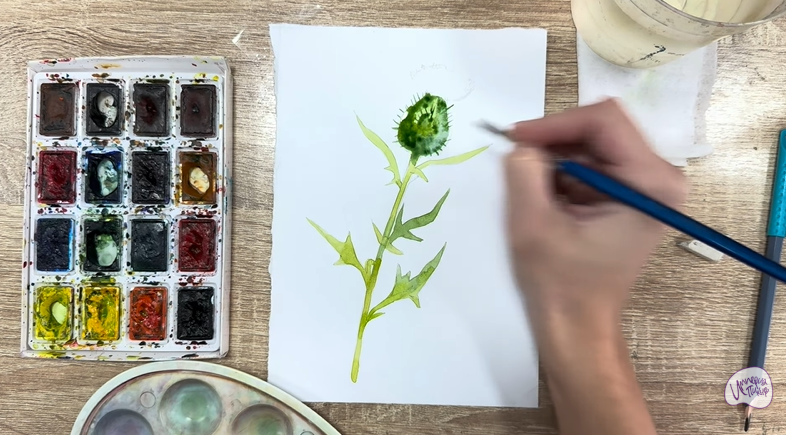 Рисуем Бодяк