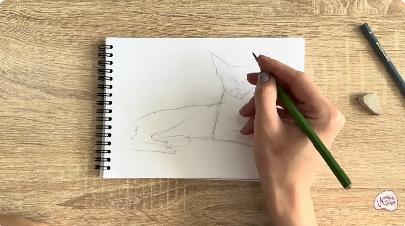 Рисуем Ориентальная кошка