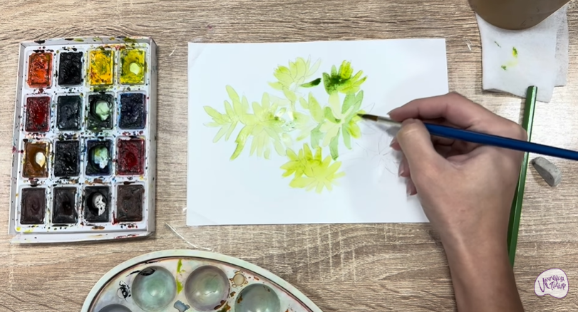 Рисуем Очиток