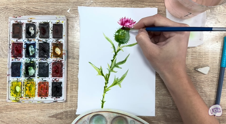 Рисуем Бодяк