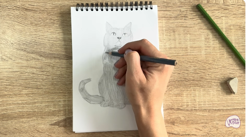 Рисуем Кот породы Шартрез