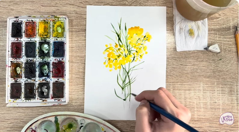 Рисуем Бессмертник