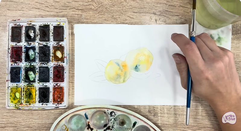 Рисуем Макадамия