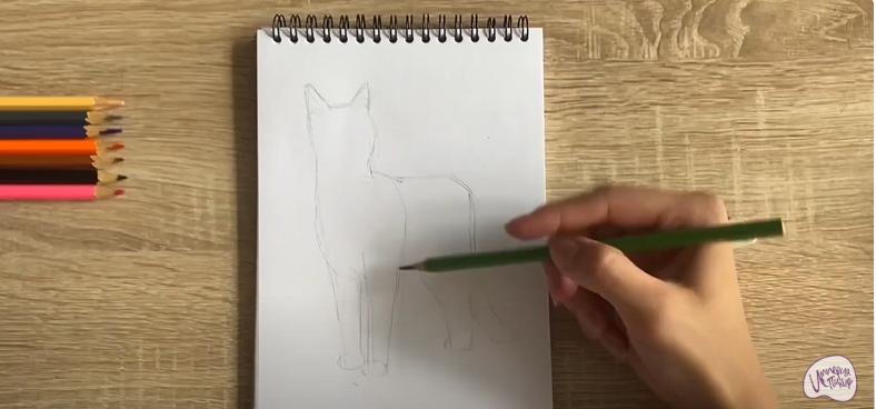 Рисуем Кот породы "японский бобтейл"