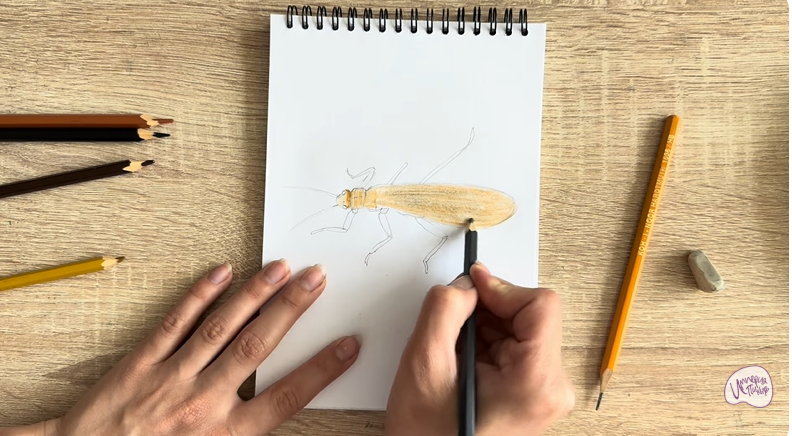 Рисуем Веснянка