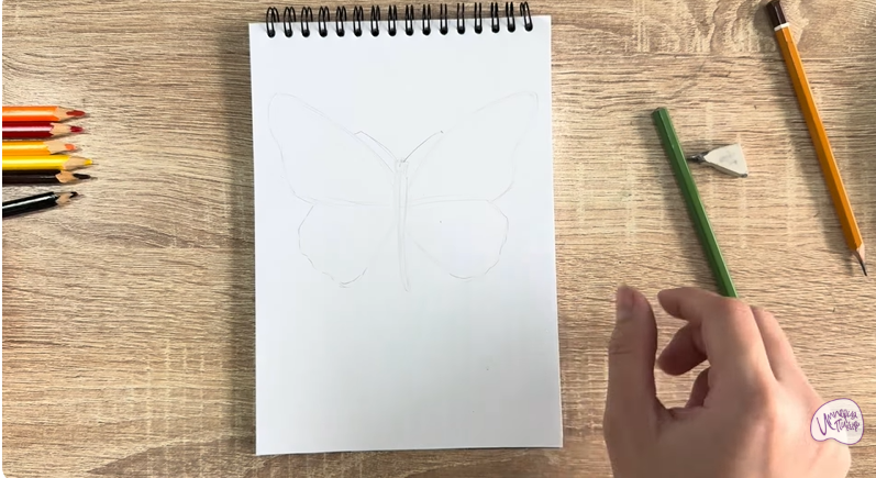 Рисуем Малинница обыкновенная