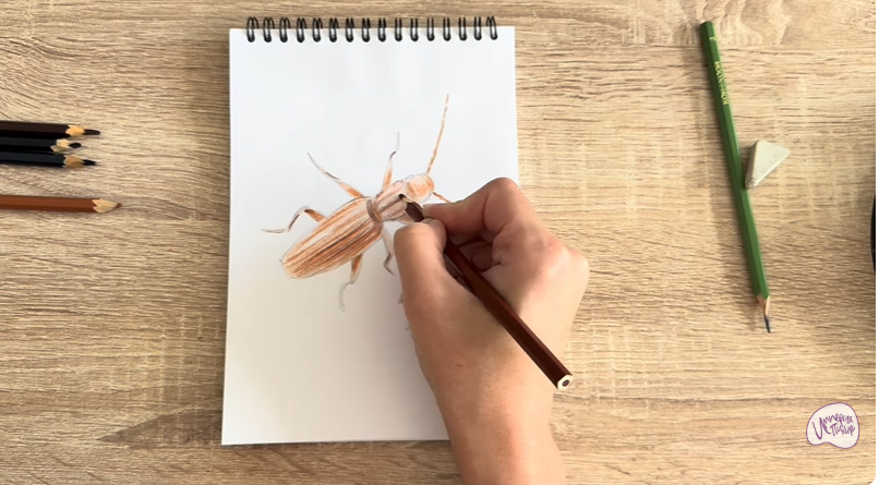 Рисуем Мукоед