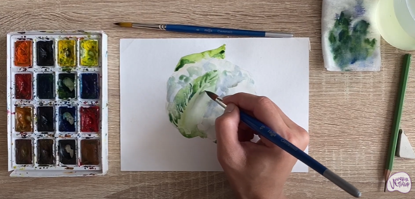 Рисуем Цветная капуста