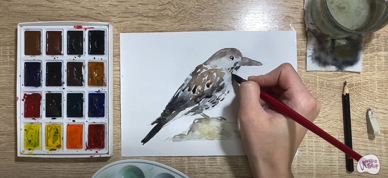 Рисуем Кедровка