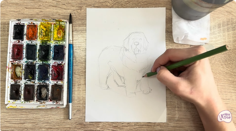 Рисуем Собака породы Ньюфаундленд