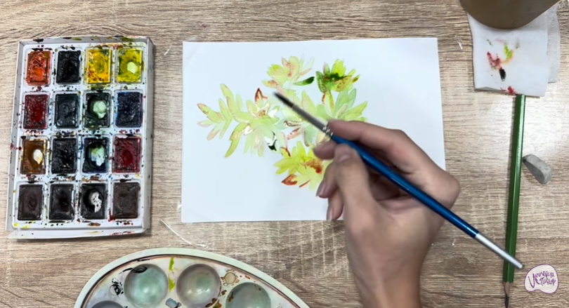 Рисуем Очиток