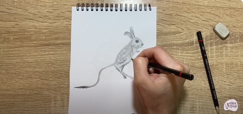 Рисуем Тушканчик