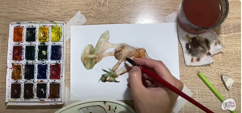 Рисуем Аскокорине торфяная