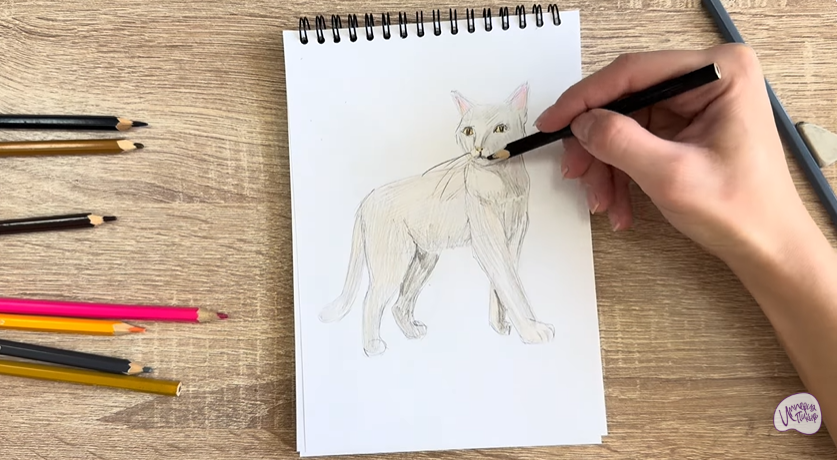 Рисуем Кошка Бурмилла