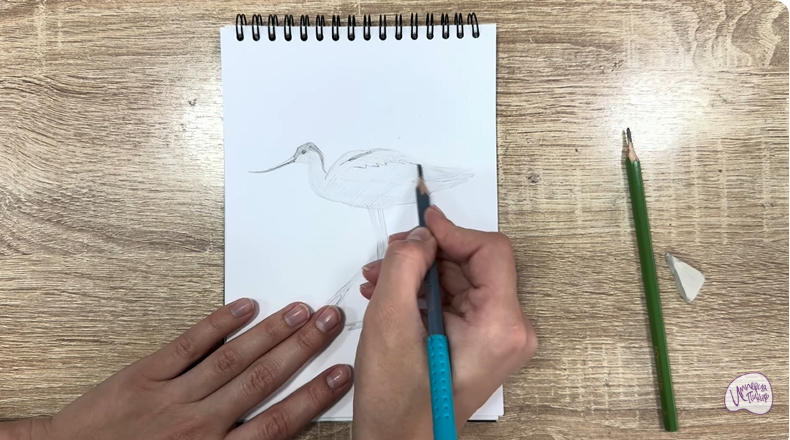 Рисуем Шилоклювка