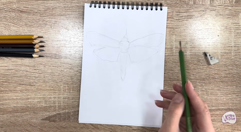 Рисуем Огнёвка зерновая