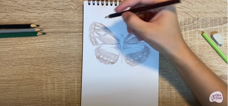 Рисуем Пеструшка Сапфо