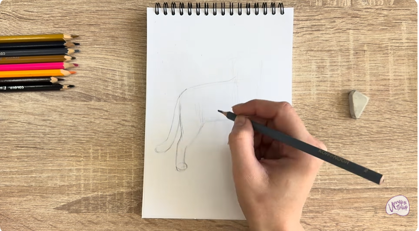 Рисуем Кошка Бурмилла