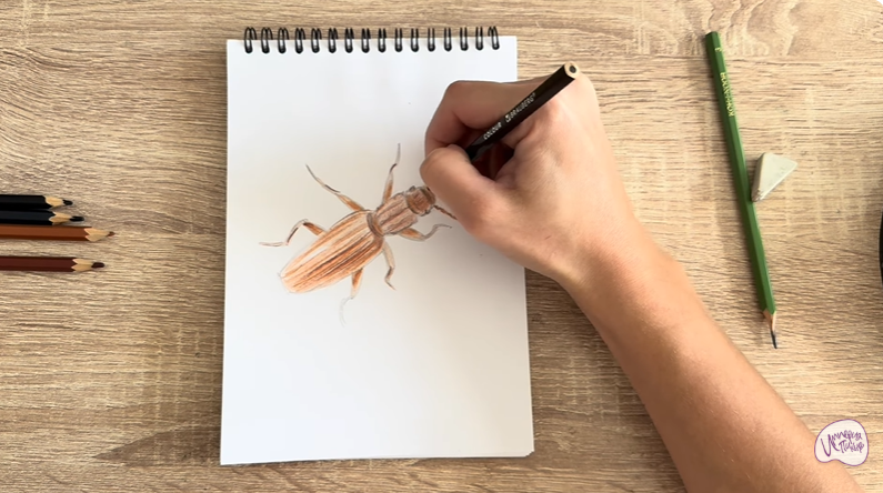 Рисуем Мукоед