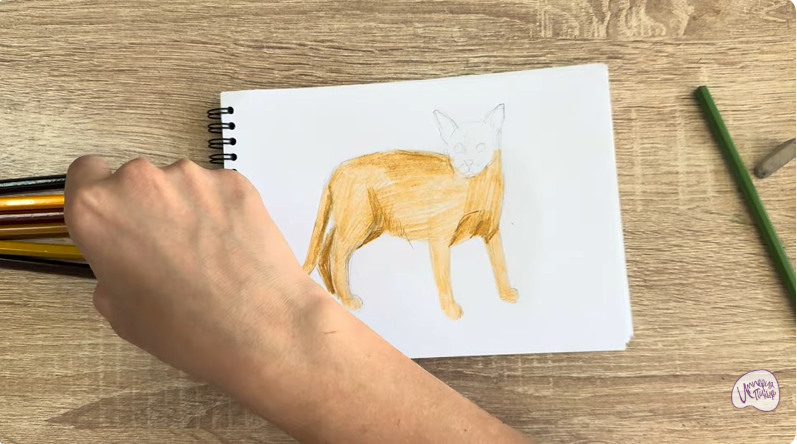 Рисуем Кот породы Оцикет