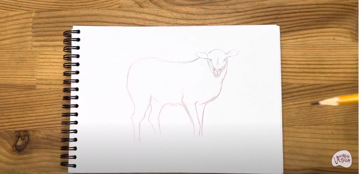Рисуем Овца