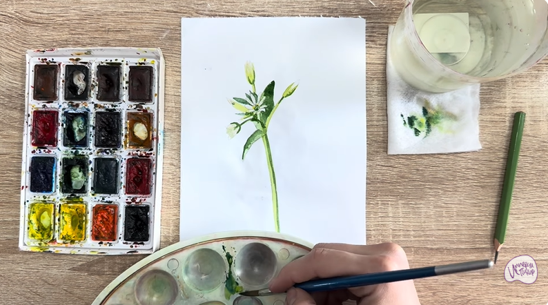 Рисуем Ясколка длинноволосая