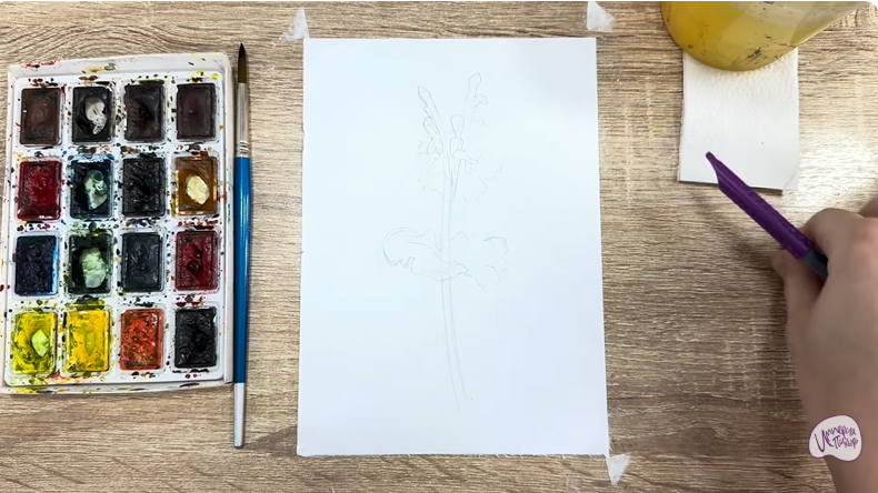 Рисуем Яснотка