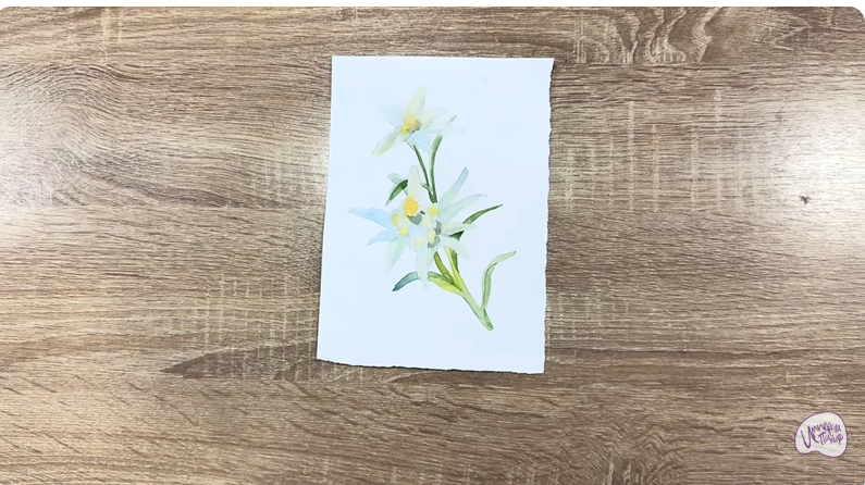 Рисуем Эдельвейс