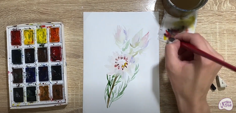 Рисуем Цветок "Серрурия"